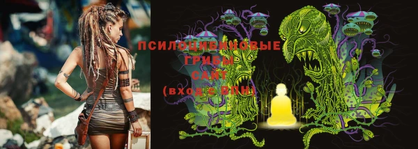 хмурый Дрезна