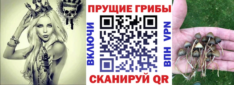 Псилоцибиновые грибы GOLDEN TEACHER  blacksprut tor  Ликино-Дулёво 