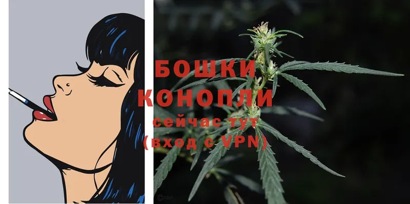 купить наркоту  Ликино-Дулёво  МАРИХУАНА SATIVA & INDICA 